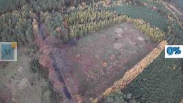 Main picture of offer 447-4280-ogs